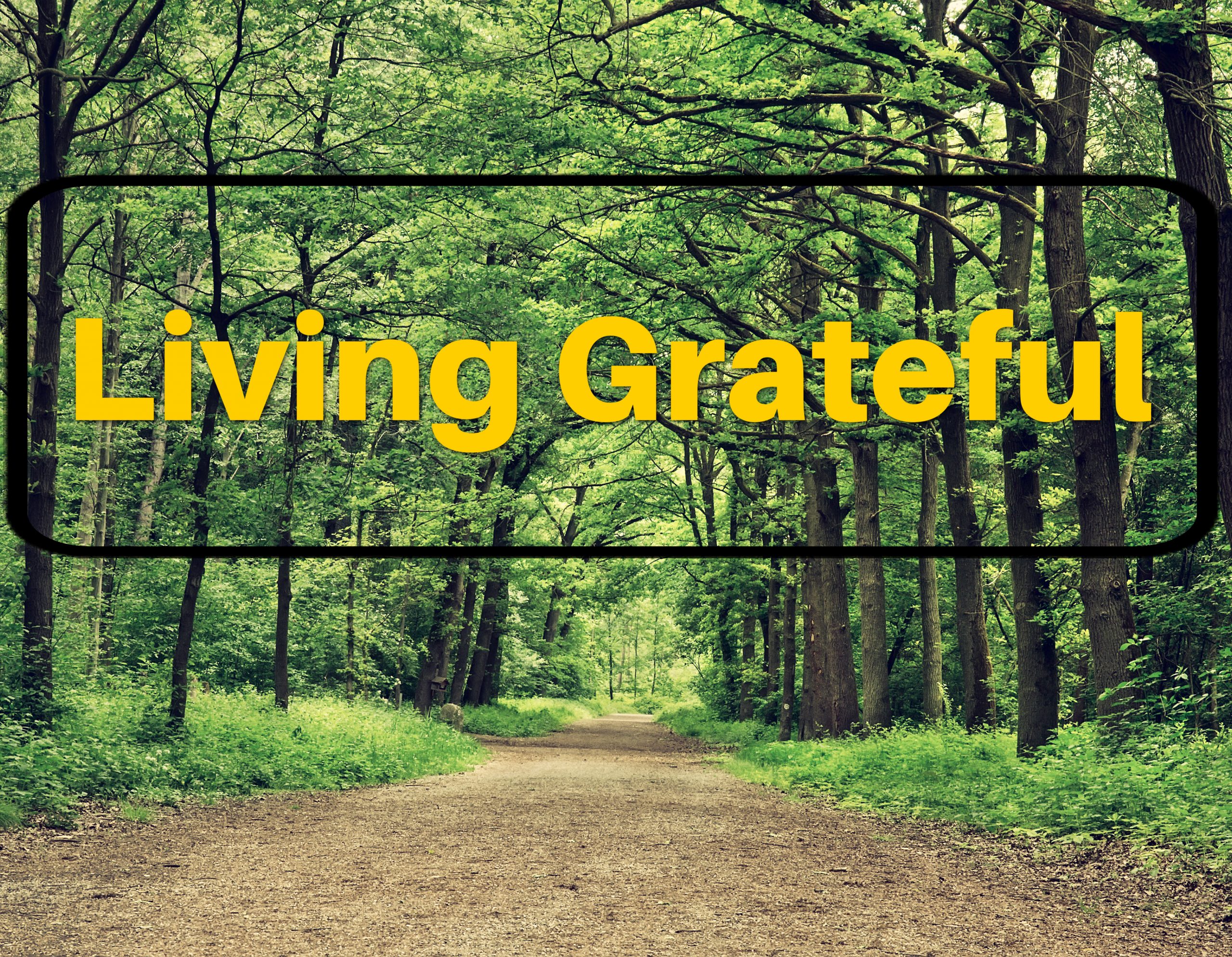 Living Grateful