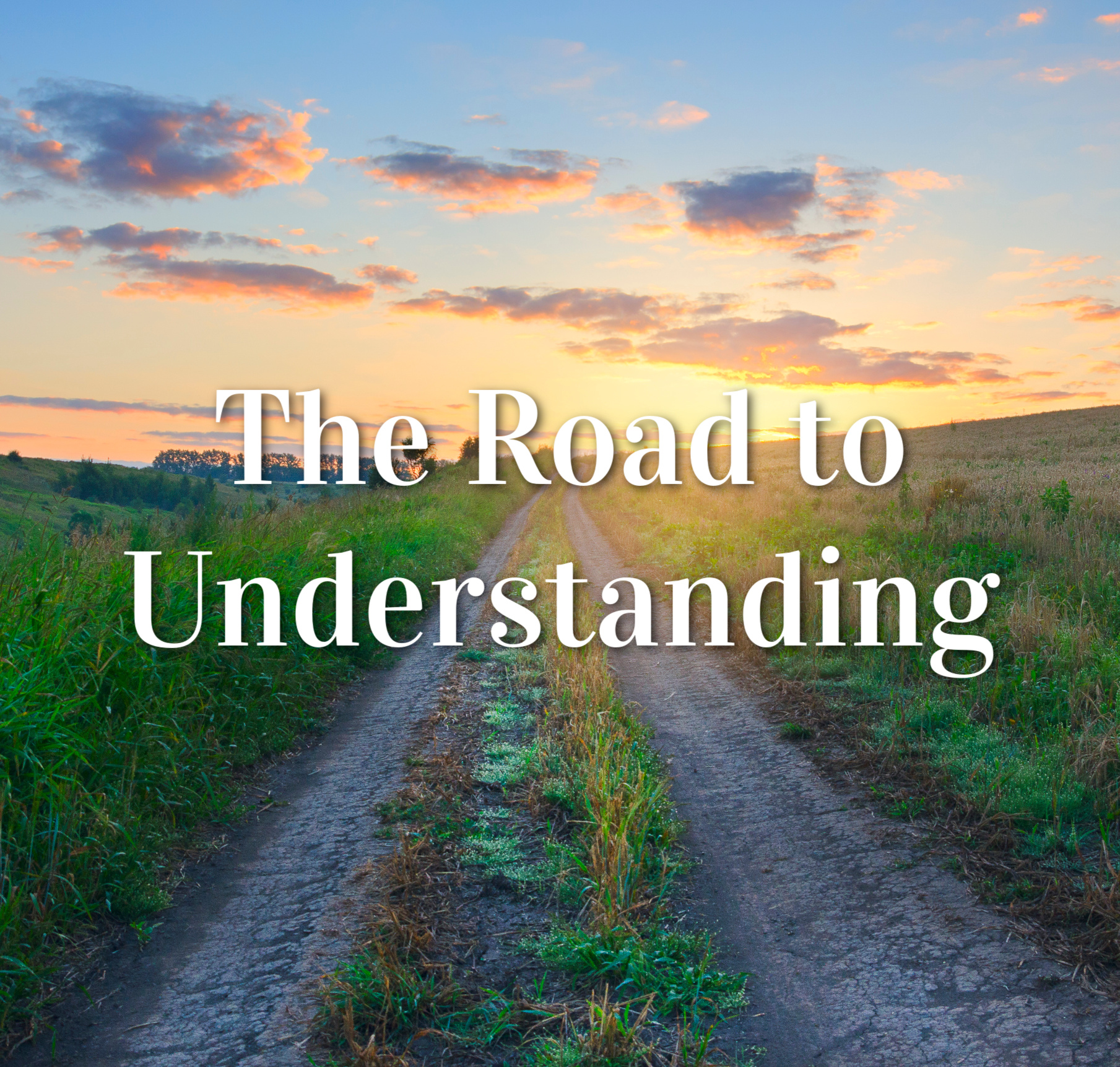 The Road to Understanding – Bruce Beckstead