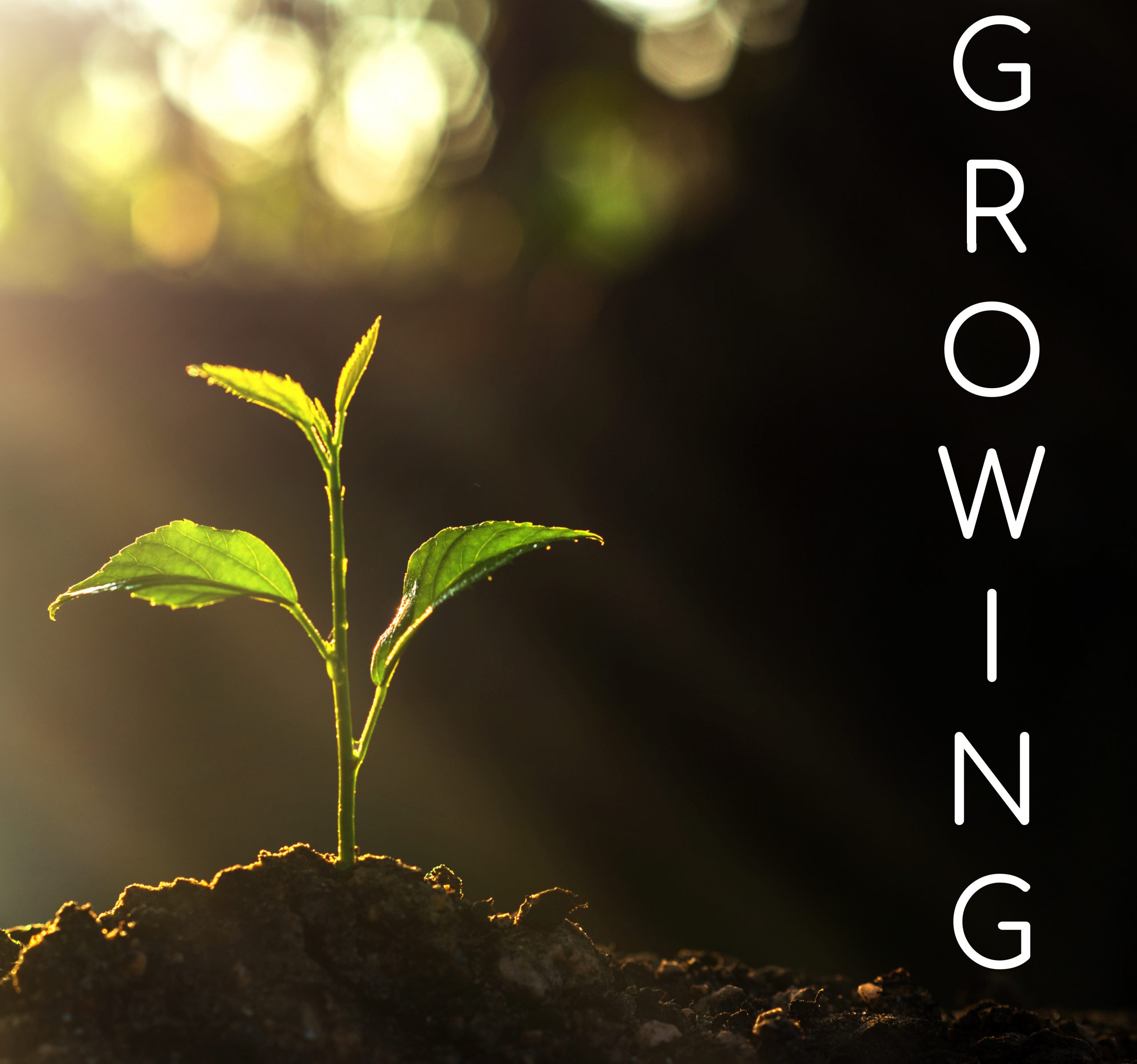 Growing- W.2- Time